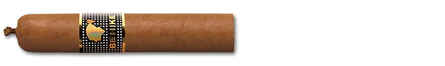 COHIBA  BHK 52   10 Cigars