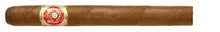 Load image into Gallery viewer, PUNCH CHURCHILLS SLB 25 Cigars