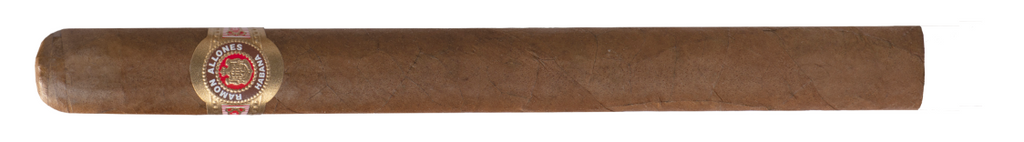RAMON ALLONES GIGANTES  25 Cigars