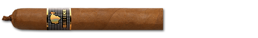 COHIBA  BHK 54  10 Cigars