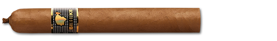 COHIBA  BHK 56  10 Cigars