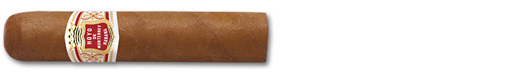 HDM PETIT ROBUSTO SLB 25 Cigars
